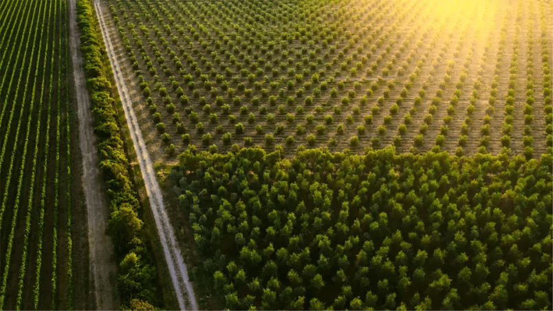 sustainability