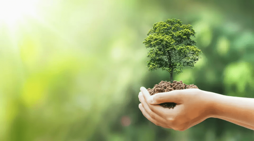 green_growing