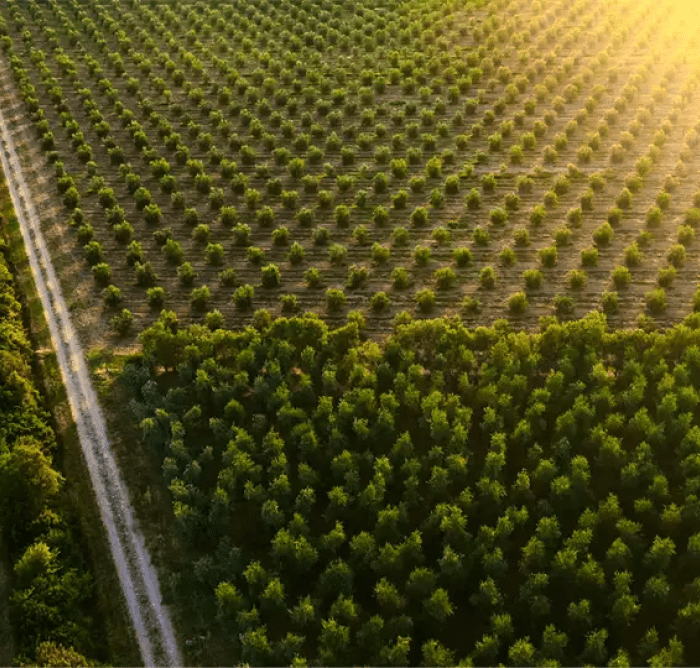 sustainability