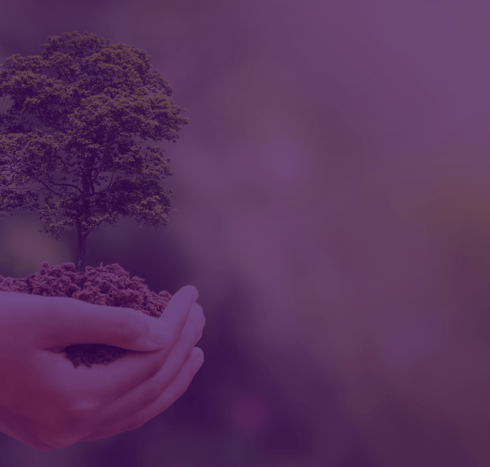 Hands holding a small tree with purple colour overlay and white logo