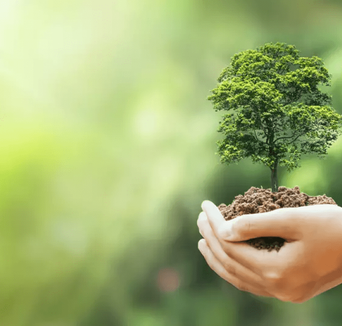 green_growing
